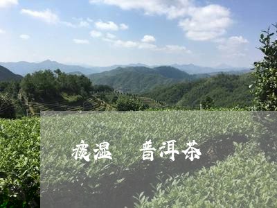 痰湿 普洱茶/2023042707365